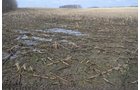 Property photo 7 - 98+/- Acres Offered in 6 Tracts or Combinations, Noble County, Indiana Farm